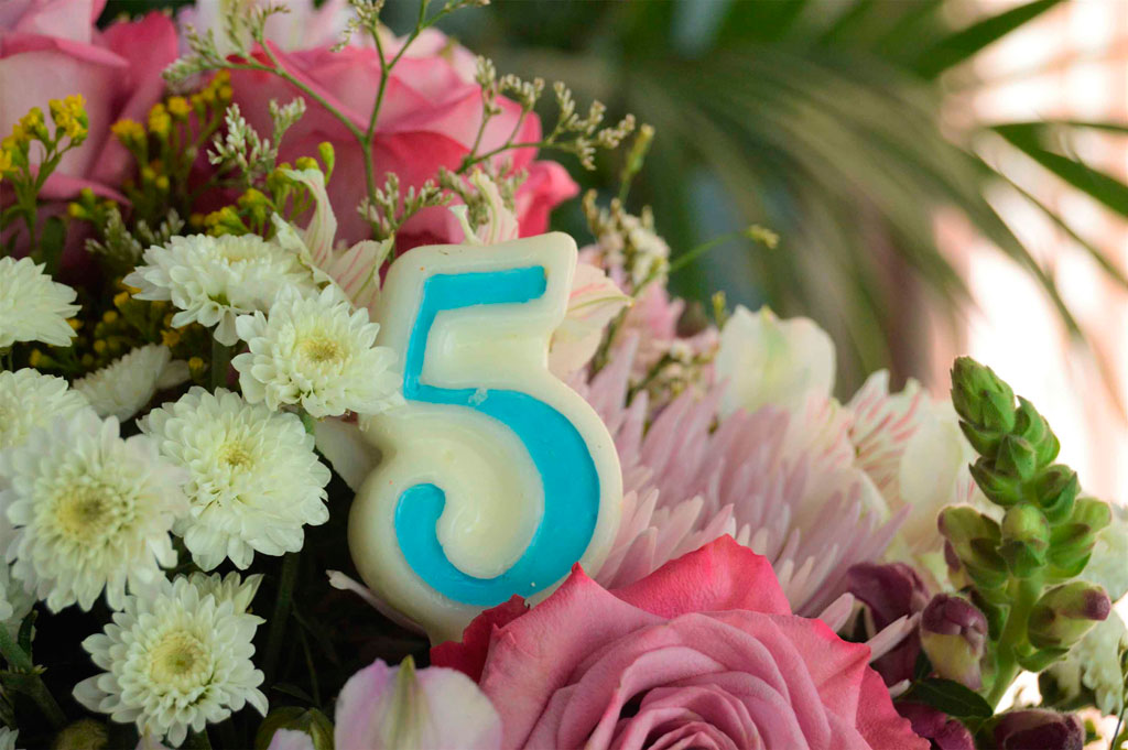 DESCUENTO 5º Aniversario Blumenaria