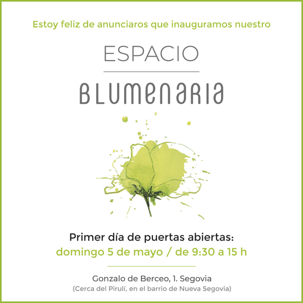 Nuevo Espacio Blumenaria Taller Floral en Segovia