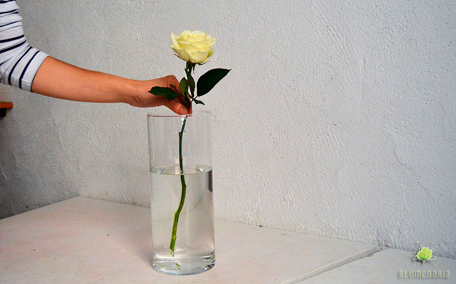 Flor en agua - Blumenaria Taller Floral