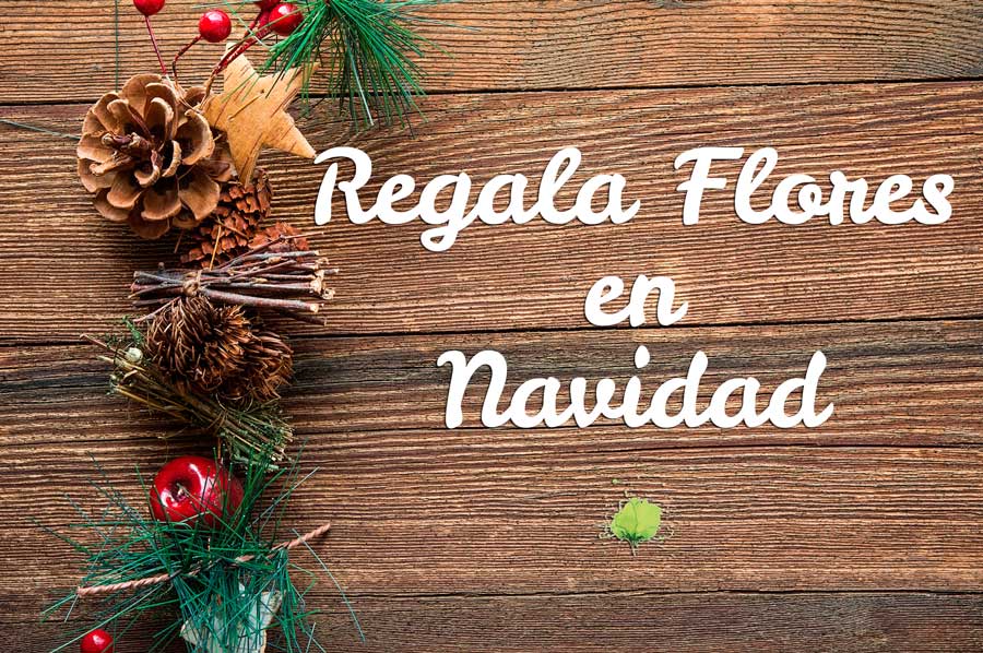 Regalar Flores Navidad - Blumenaria Taller Floral