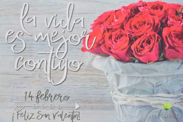 Flores San Valentín 2020 - Blumenaria Taller Floral