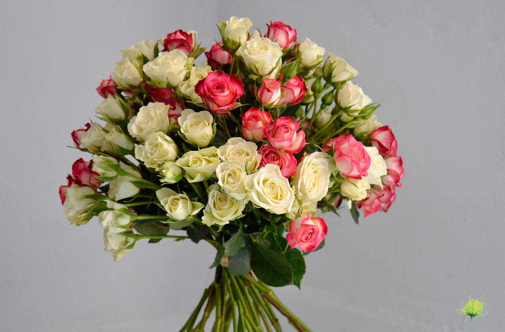 San Valentín - Enamorados - Flores Blumenaria