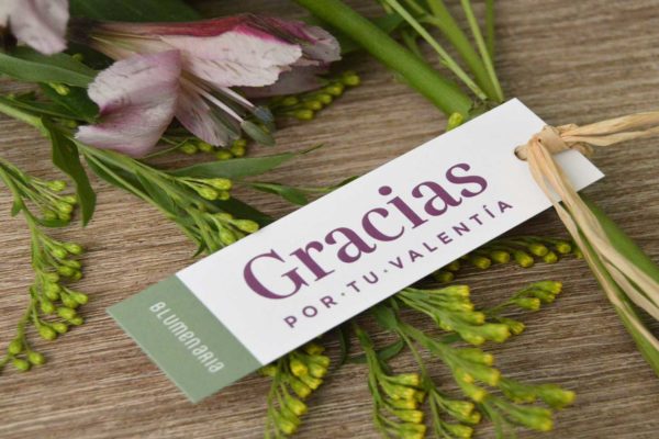 Blumenaria Taller Floral con los sanitarios de Segovia