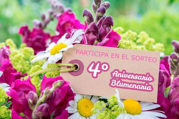 Sorteo 4º Aniversario Blumenaria
