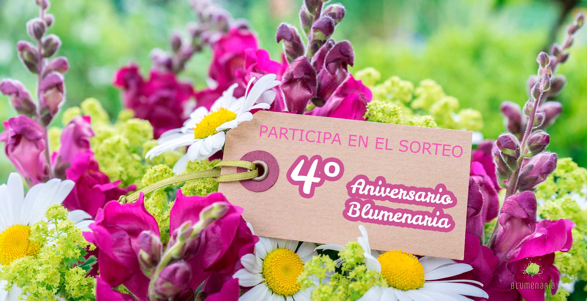 Sorteo 4º Aniversario Blumenaria