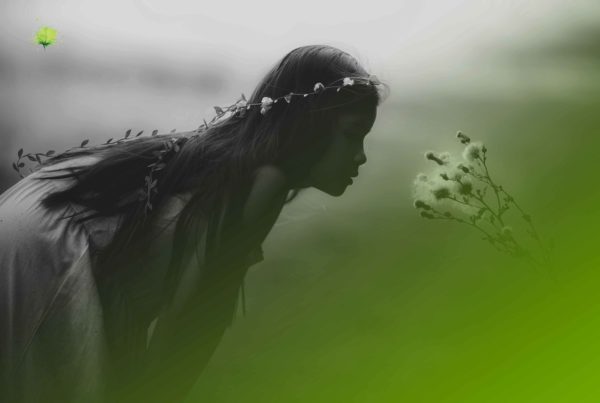 Bodas de Cuento - Blumenaria Taller Floral