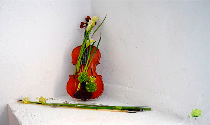 Viola y Flores - Blumenaria Taller Floral